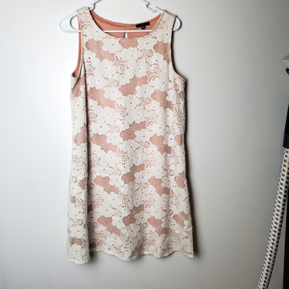 Tiana B. Cream Lace Overlay Blush Pink Shift Dress
